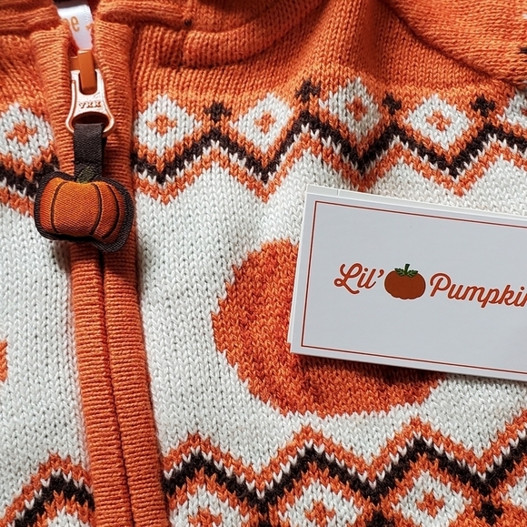Gymboree Orange Pumpkin Sweater Lil's Pumpkin Collection Hooded Zip Up Sweater - Picture 11 of 14